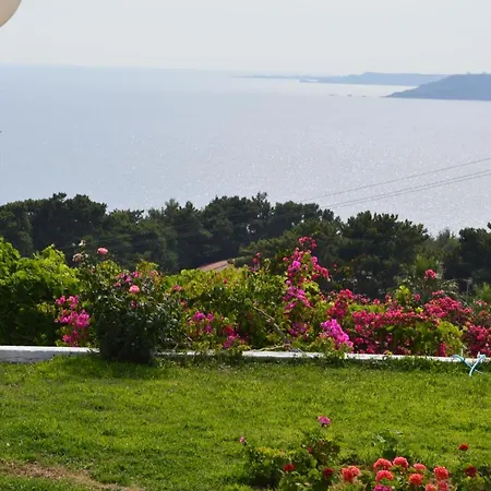 Mediterranean Lassi (Kefalonia)