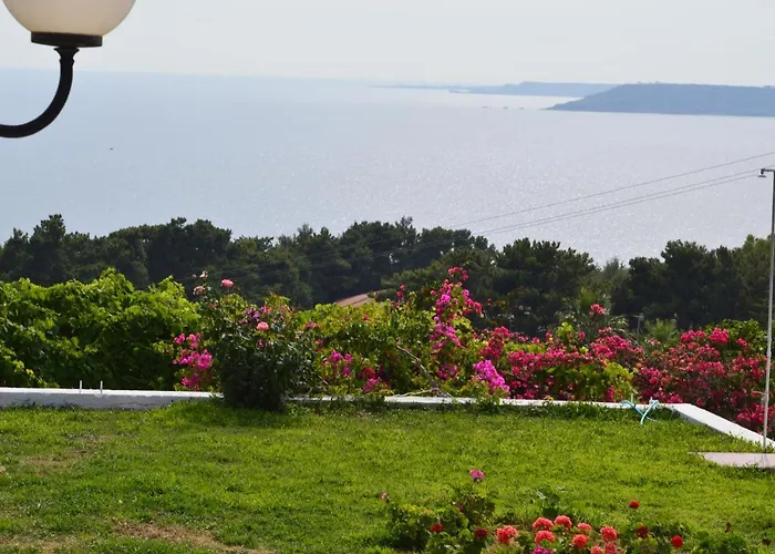 Mediterranean Lassi (Kefalonia)